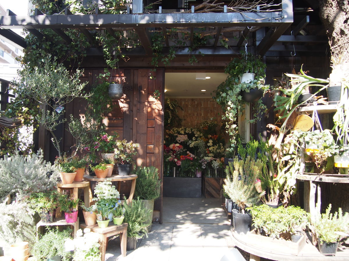 f:id:tra_live:20220315222351j:plain