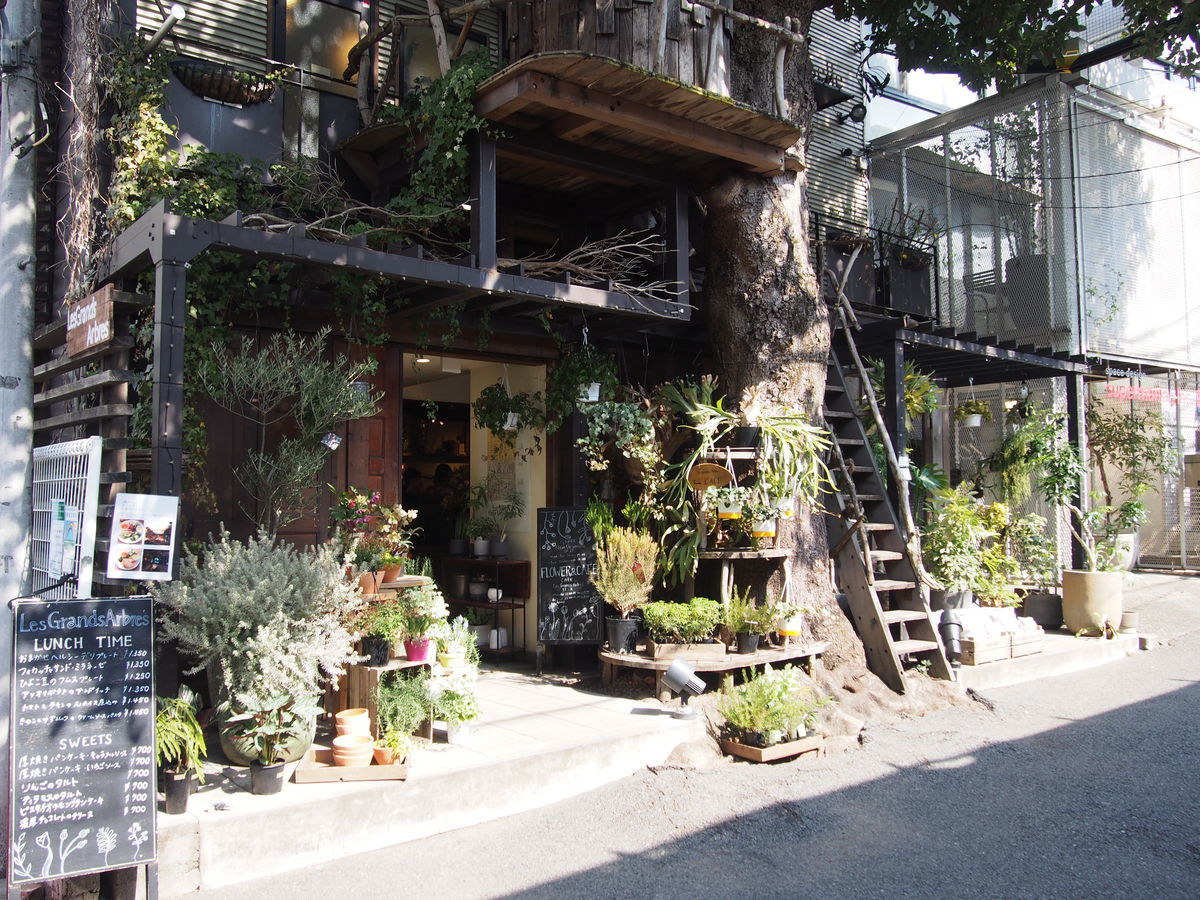 f:id:tra_live:20220316210546j:plain