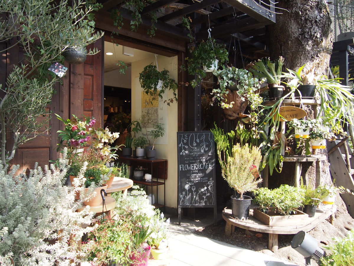 f:id:tra_live:20220316210607j:plain