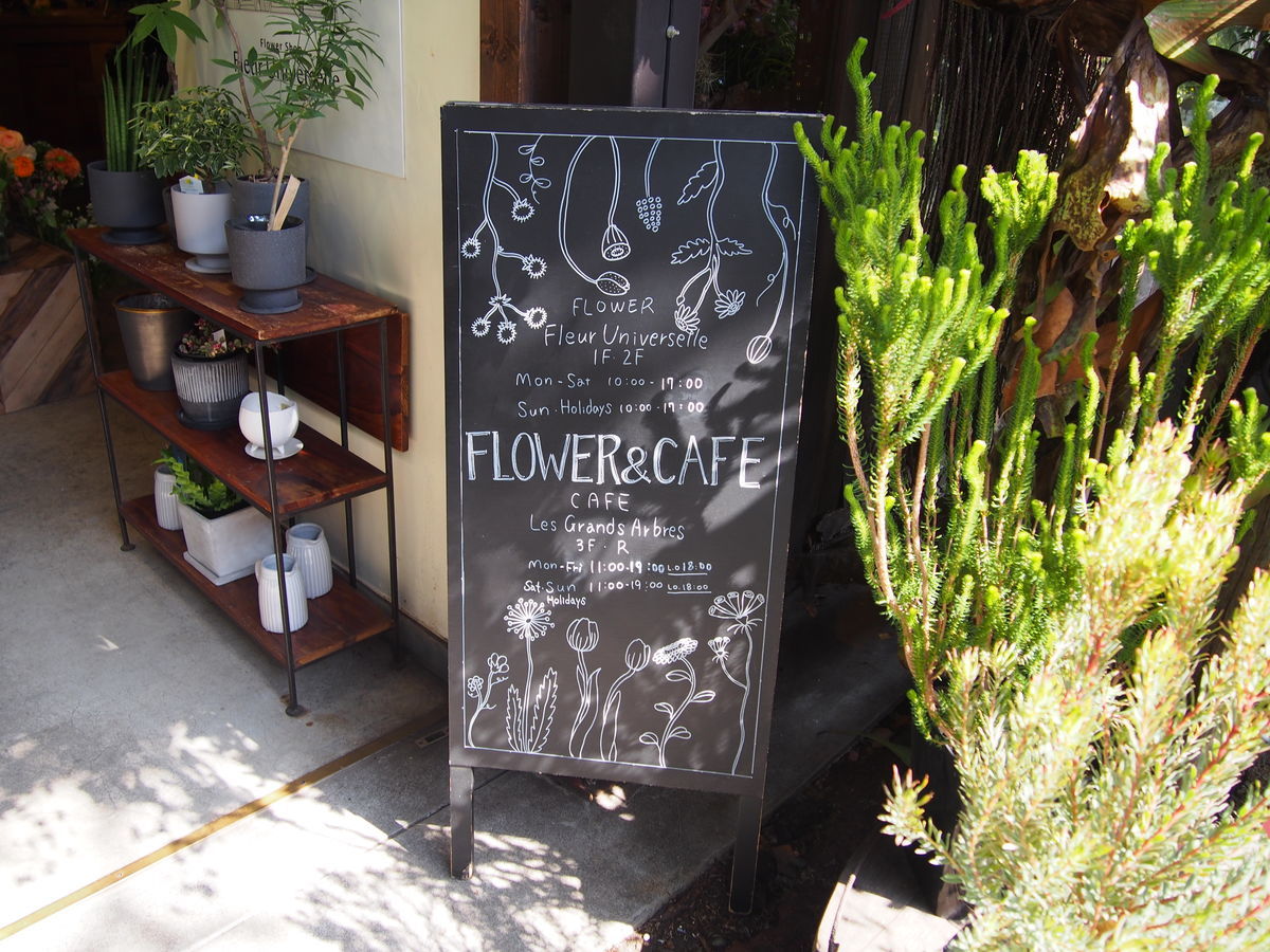 f:id:tra_live:20220316210627j:plain