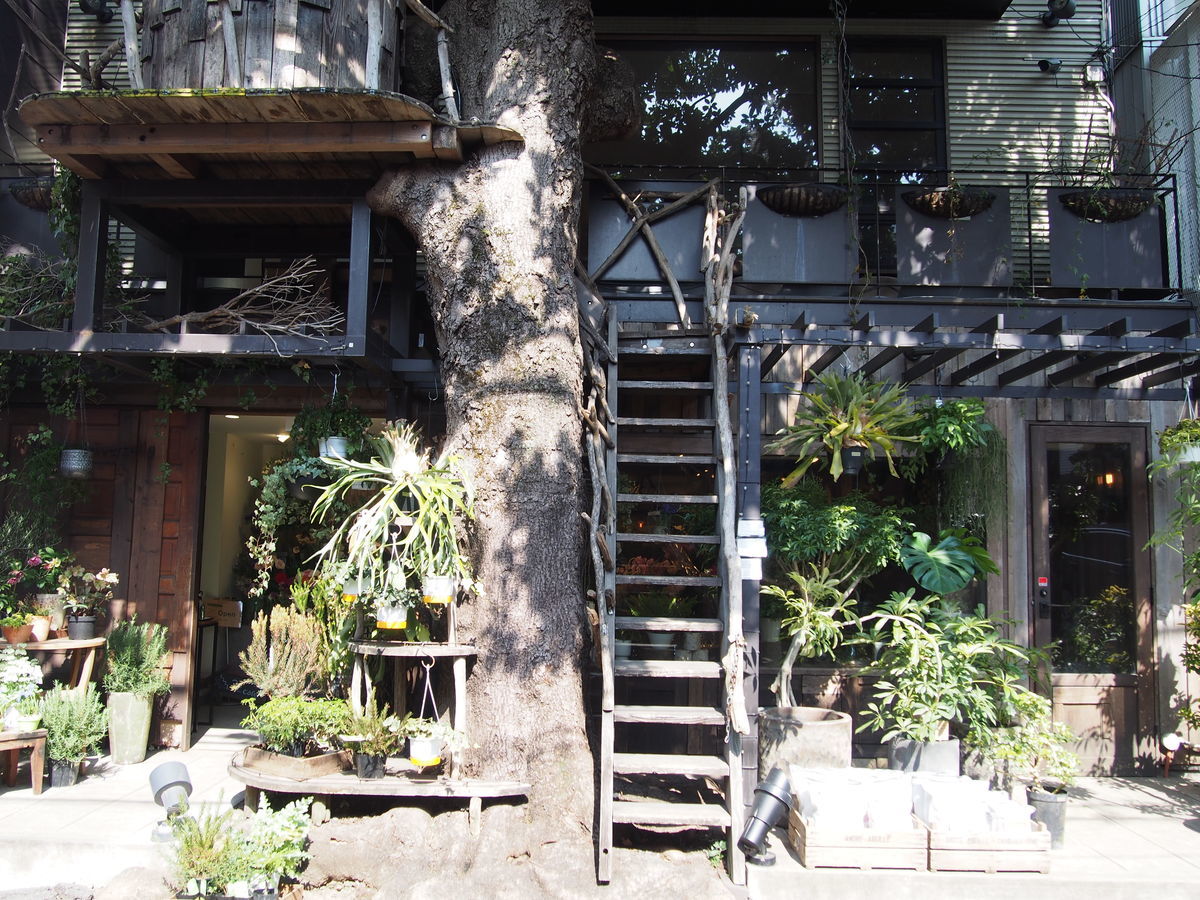 f:id:tra_live:20220316210727j:plain