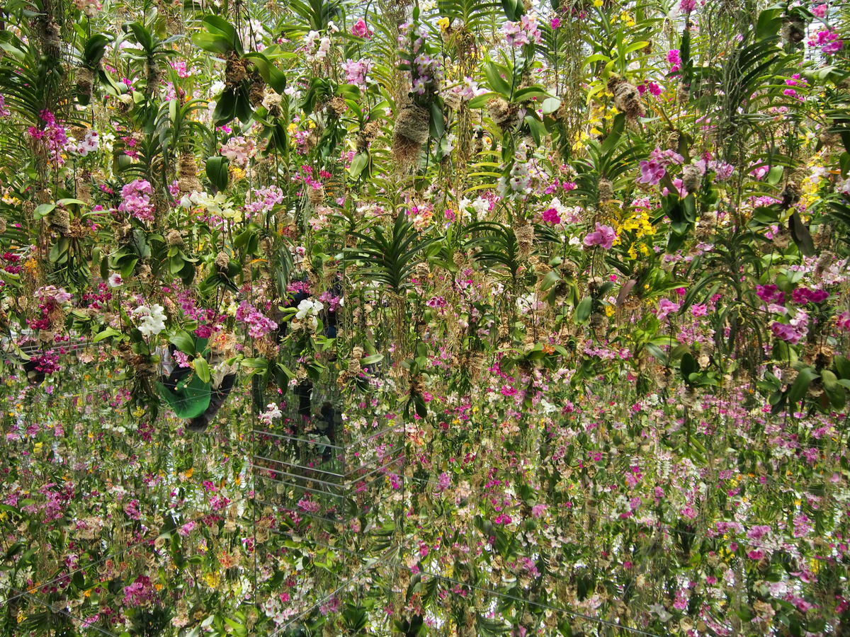 f:id:tra_live:20220322163959j:plain