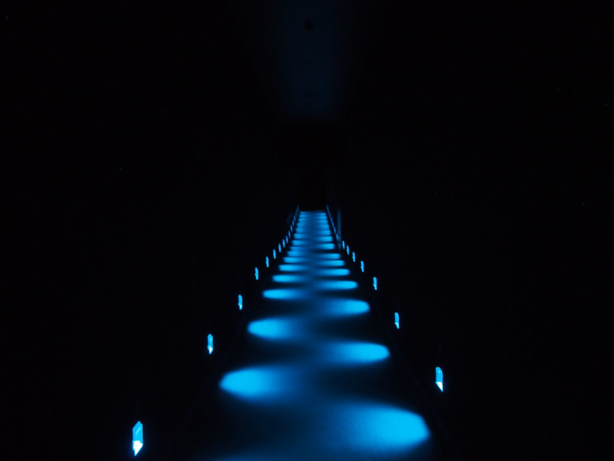 f:id:tra_live:20220322192507j:plain