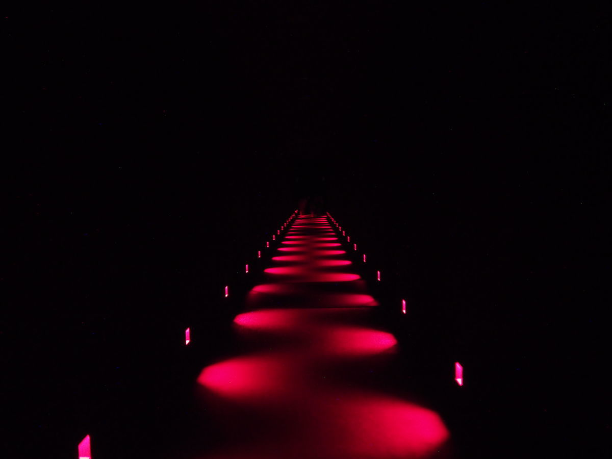 f:id:tra_live:20220322202147j:plain