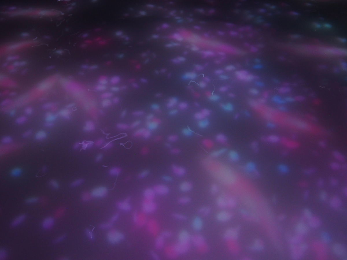 f:id:tra_live:20220322204114j:plain