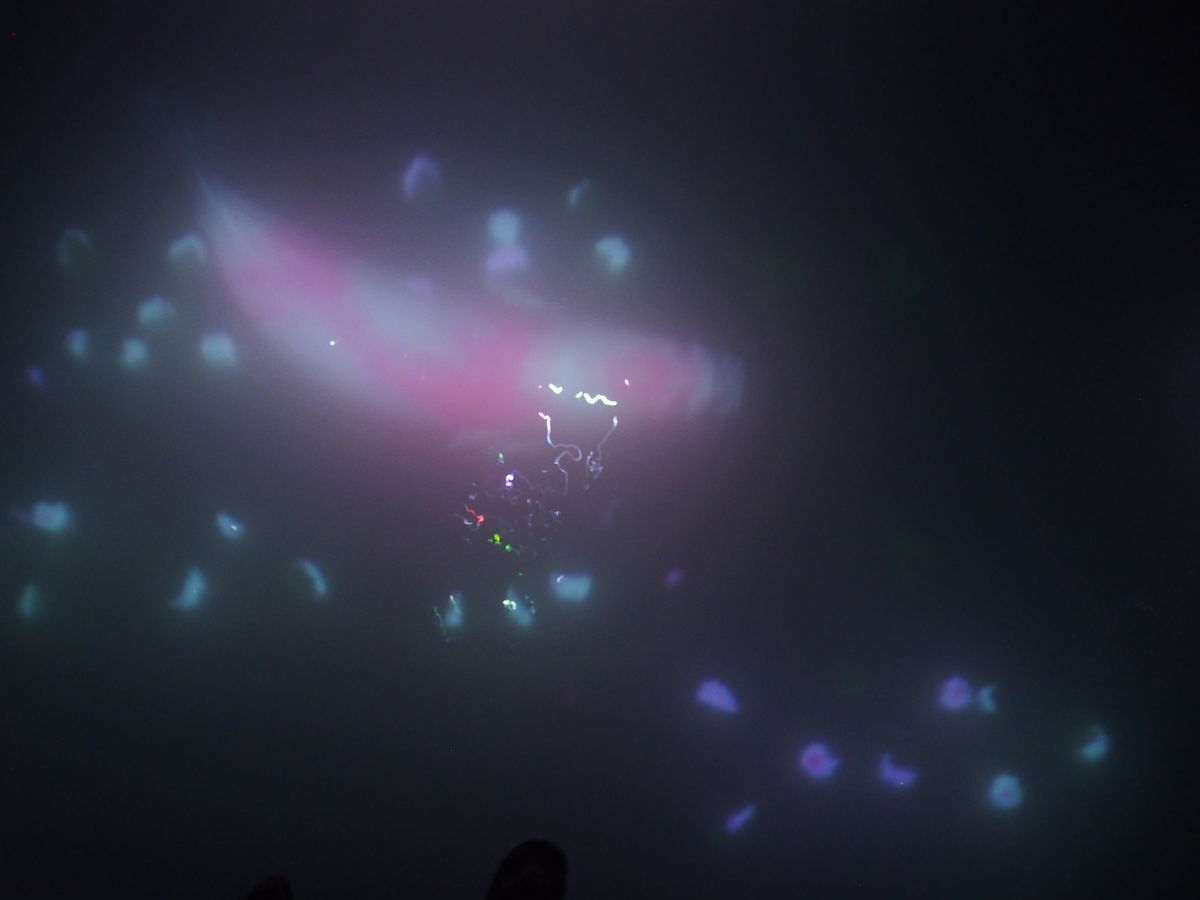 f:id:tra_live:20220322204207j:plain