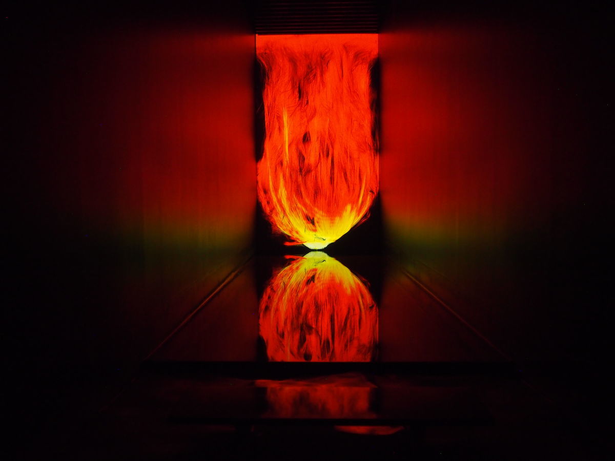 f:id:tra_live:20220322221507j:plain