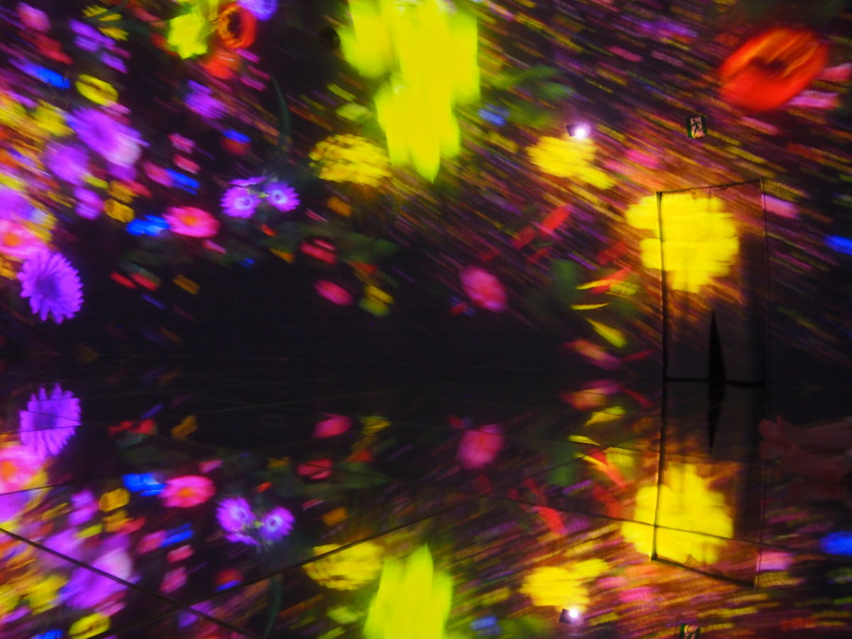 f:id:tra_live:20220322230138j:plain