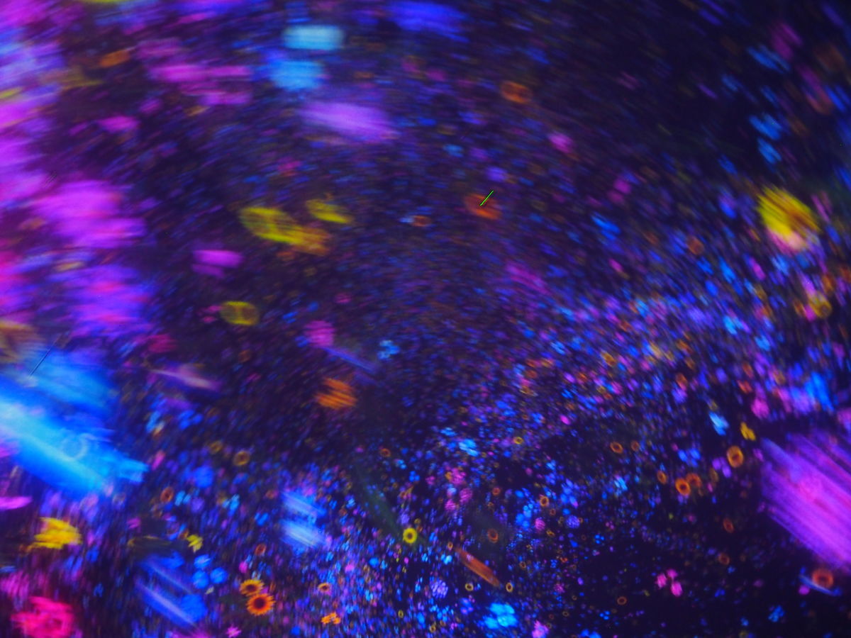 f:id:tra_live:20220322230209j:plain