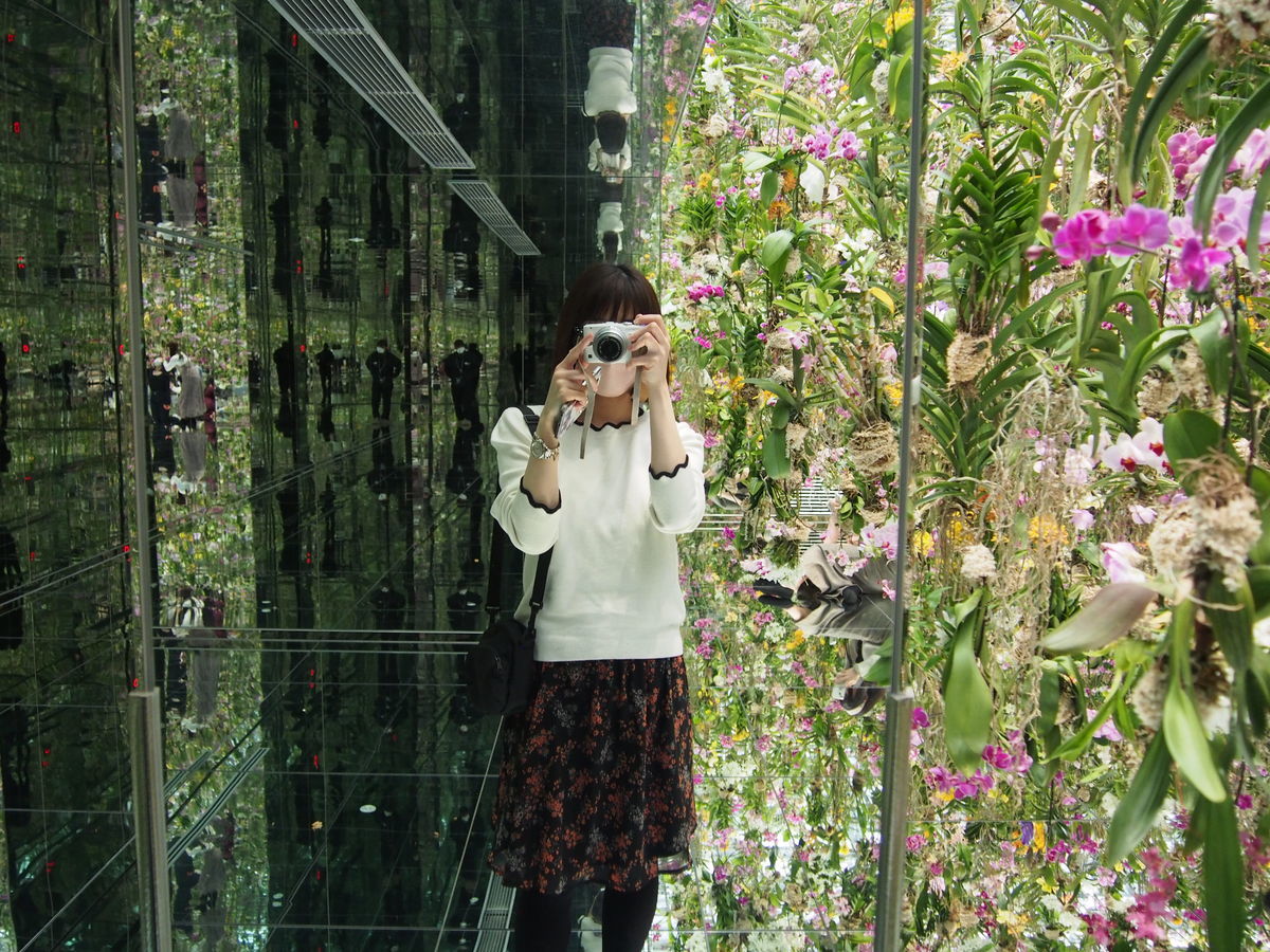 f:id:tra_live:20220323004012j:plain