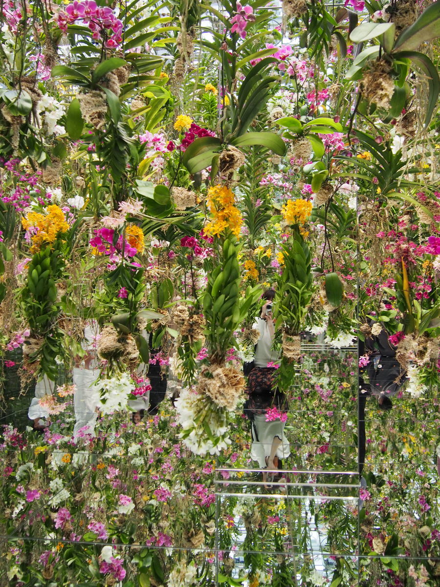 f:id:tra_live:20220323004135j:plain