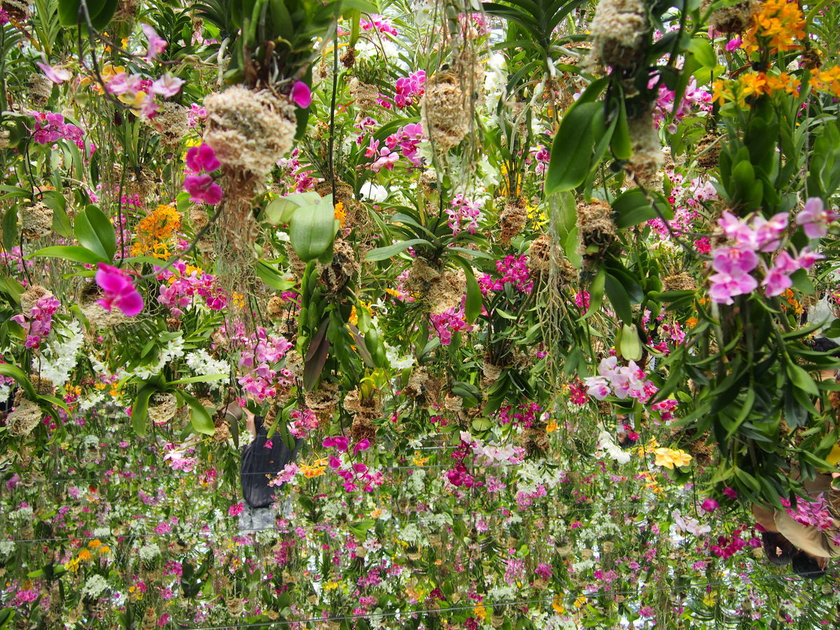 f:id:tra_live:20220323004614j:plain