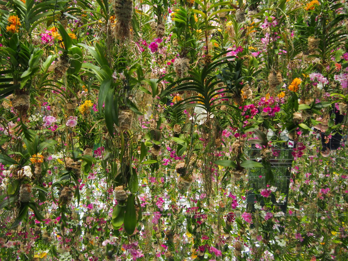 f:id:tra_live:20220323004701j:plain