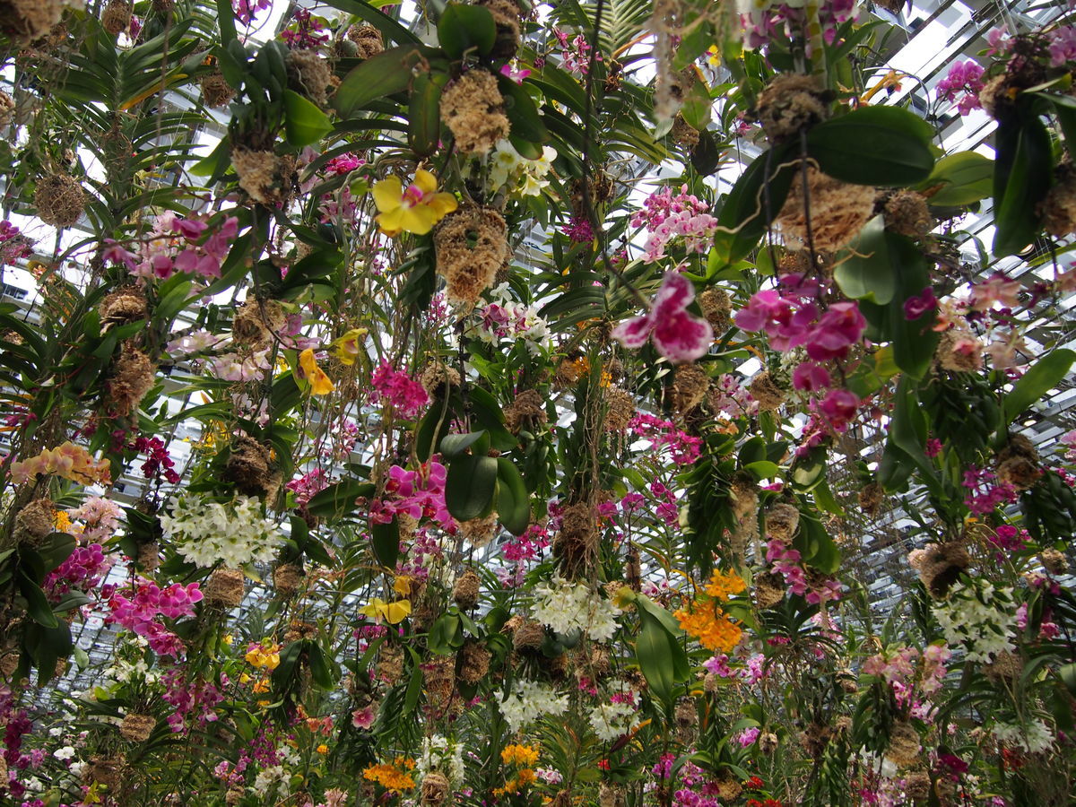 f:id:tra_live:20220323004805j:plain