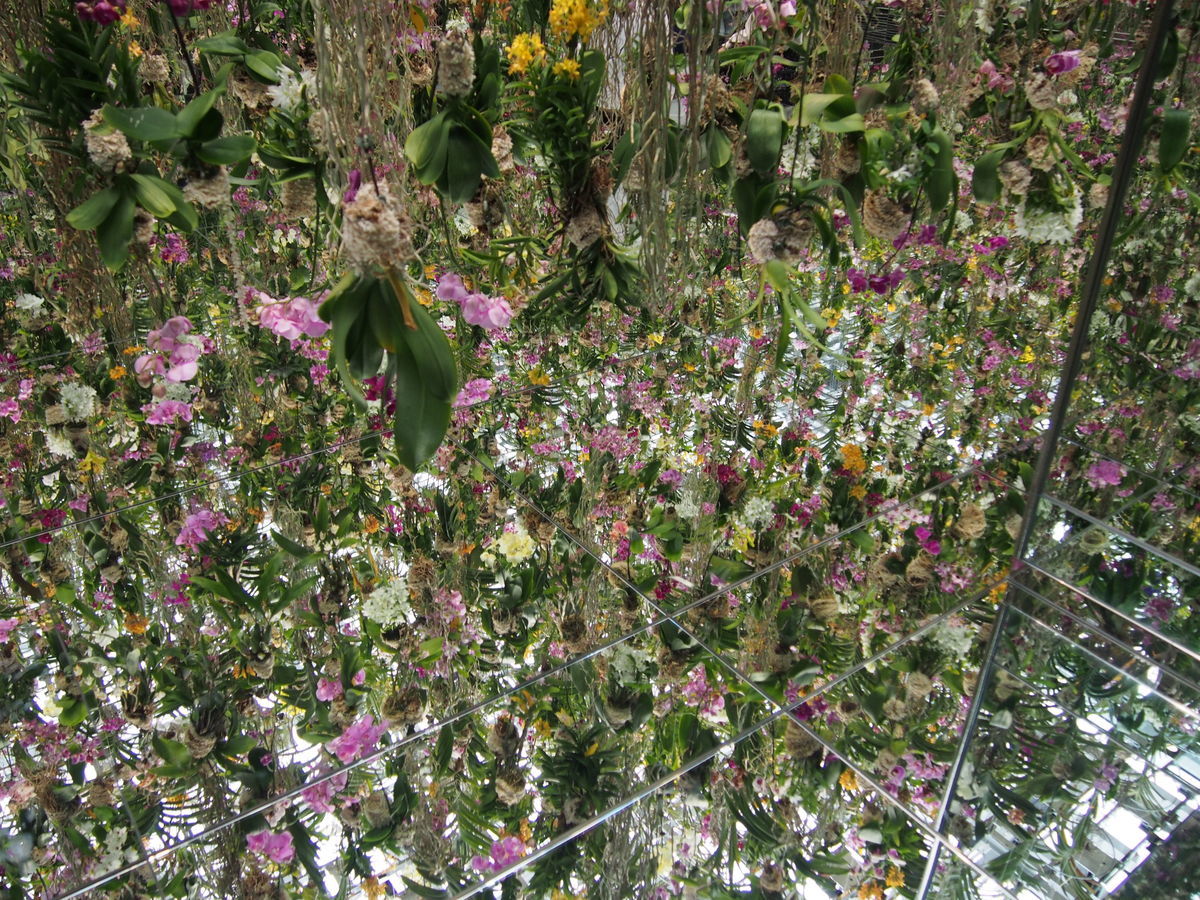 f:id:tra_live:20220323004830j:plain