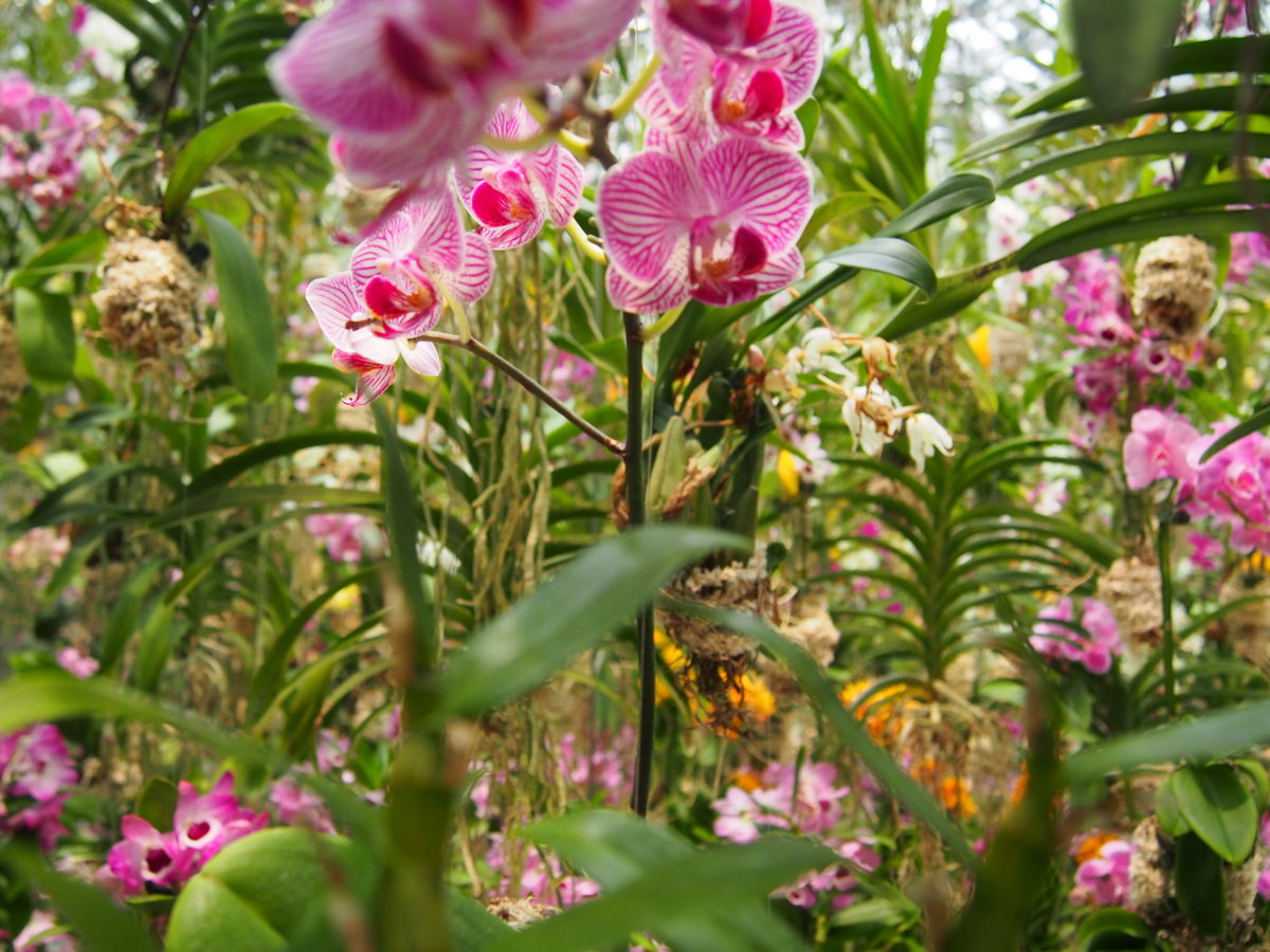 f:id:tra_live:20220323005215j:plain