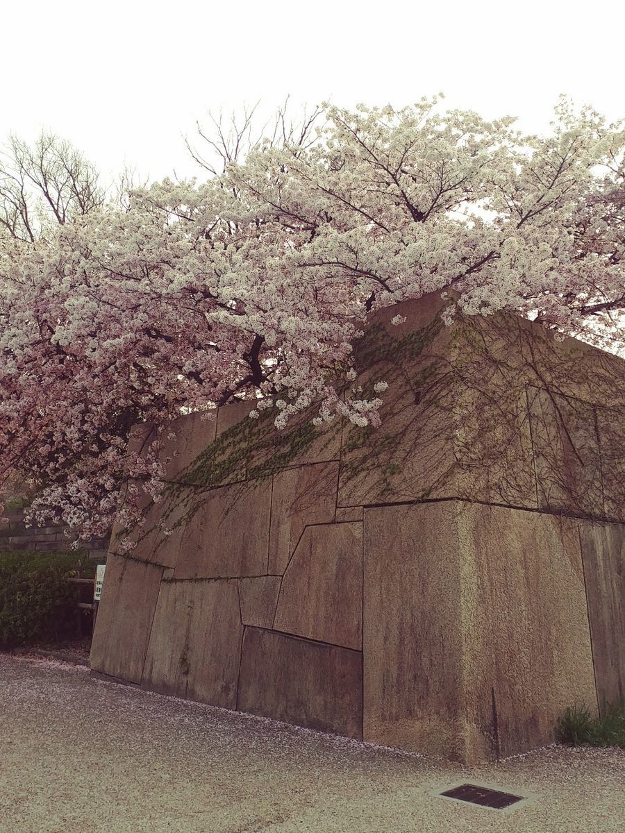f:id:tra_live:20220412033916j:plain