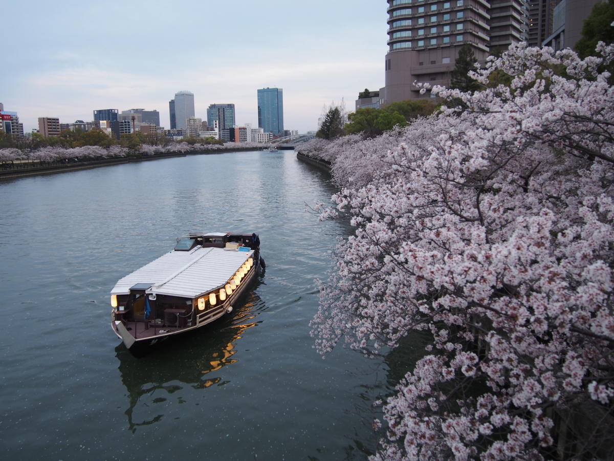 f:id:tra_live:20220417163922j:plain