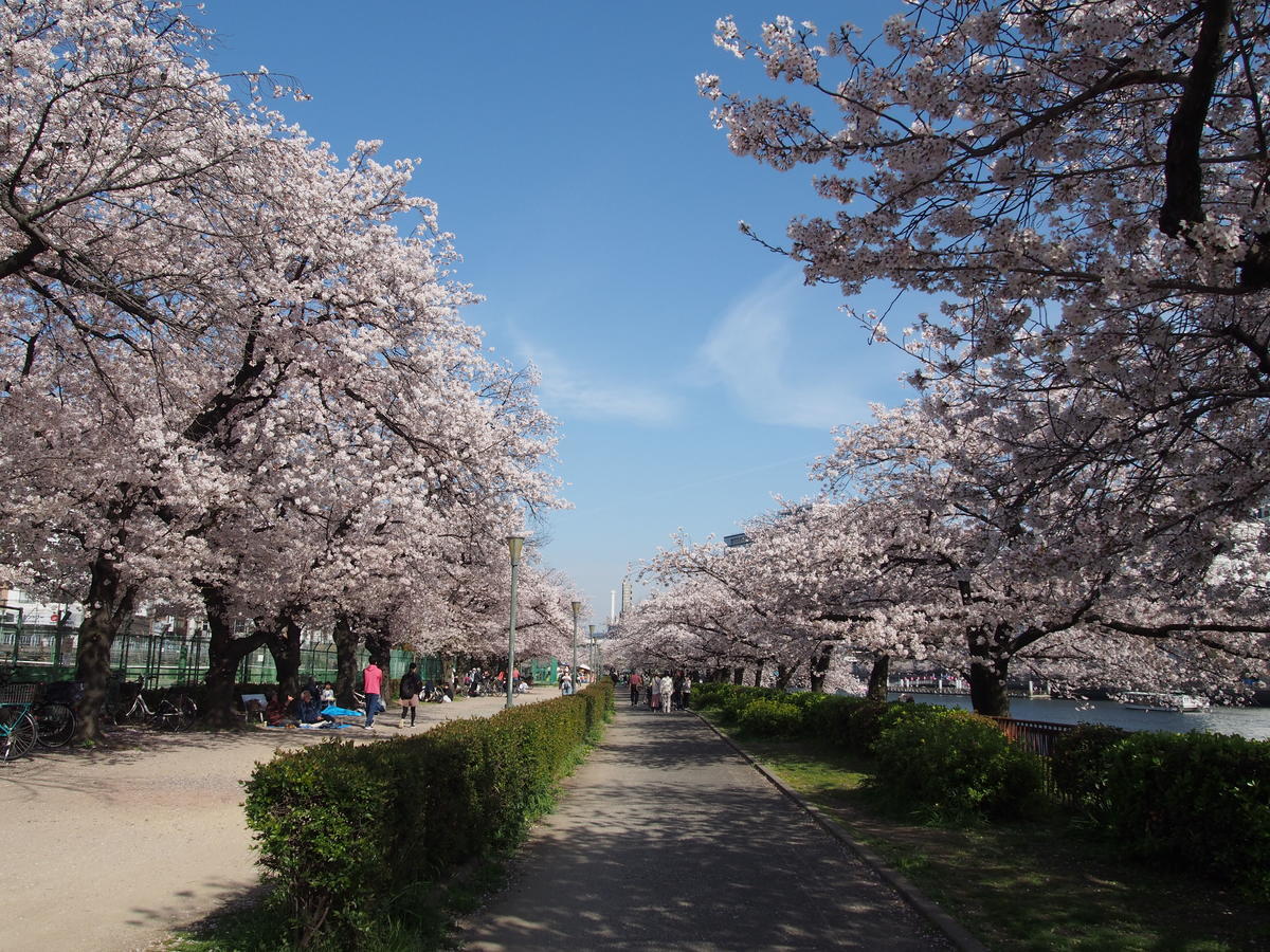 f:id:tra_live:20220417164424j:plain