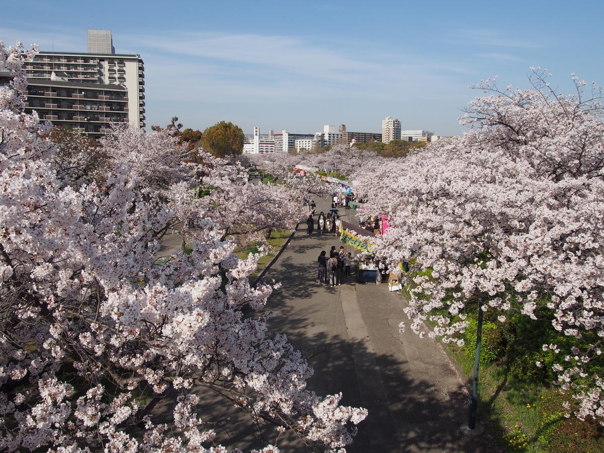 f:id:tra_live:20220417165737j:plain