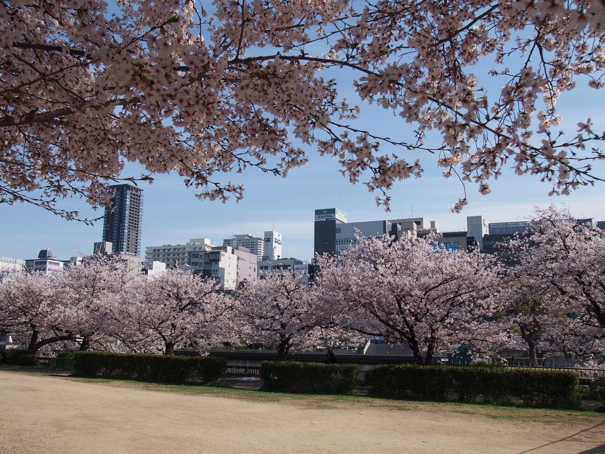 f:id:tra_live:20220417171808j:plain