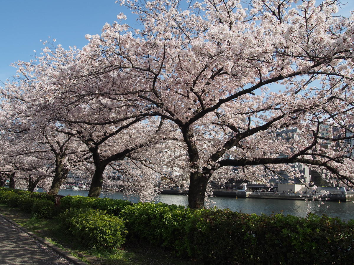 f:id:tra_live:20220417171854j:plain