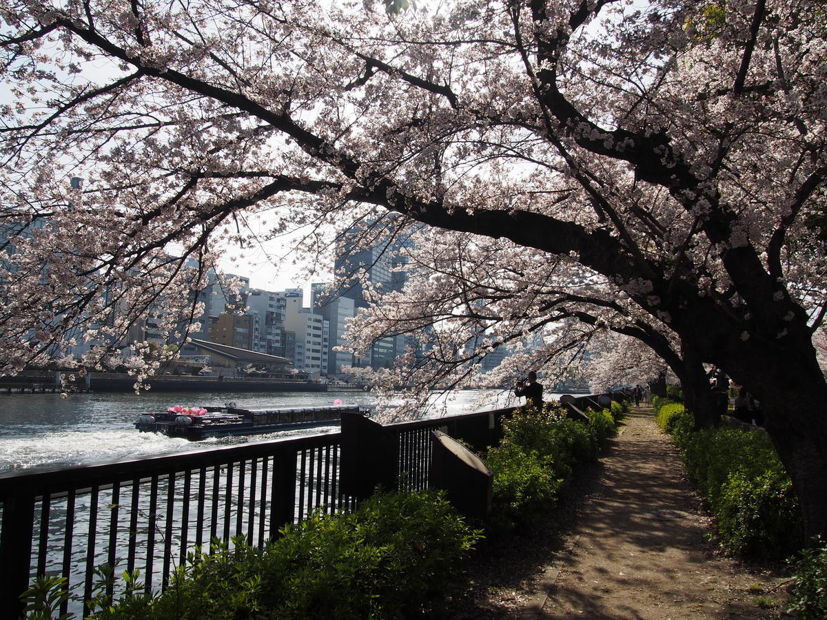 f:id:tra_live:20220417172341j:plain