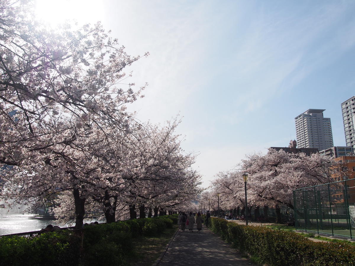 f:id:tra_live:20220417172505j:plain