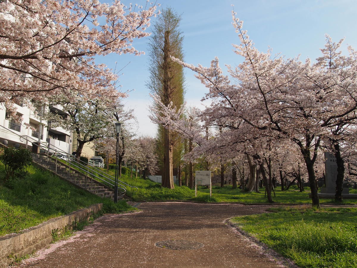 f:id:tra_live:20220417181633j:plain