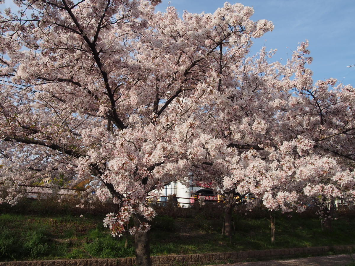 f:id:tra_live:20220417181824j:plain