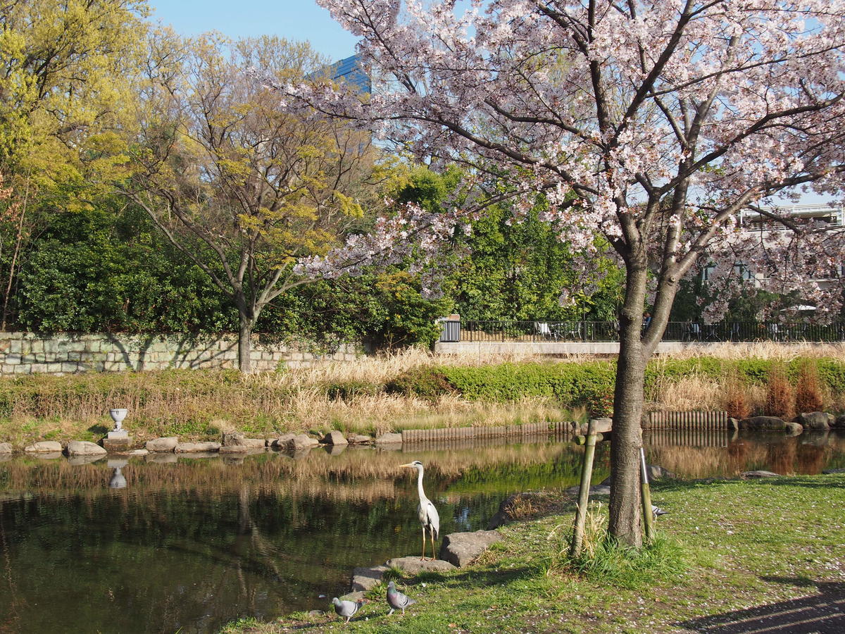 f:id:tra_live:20220417181915j:plain