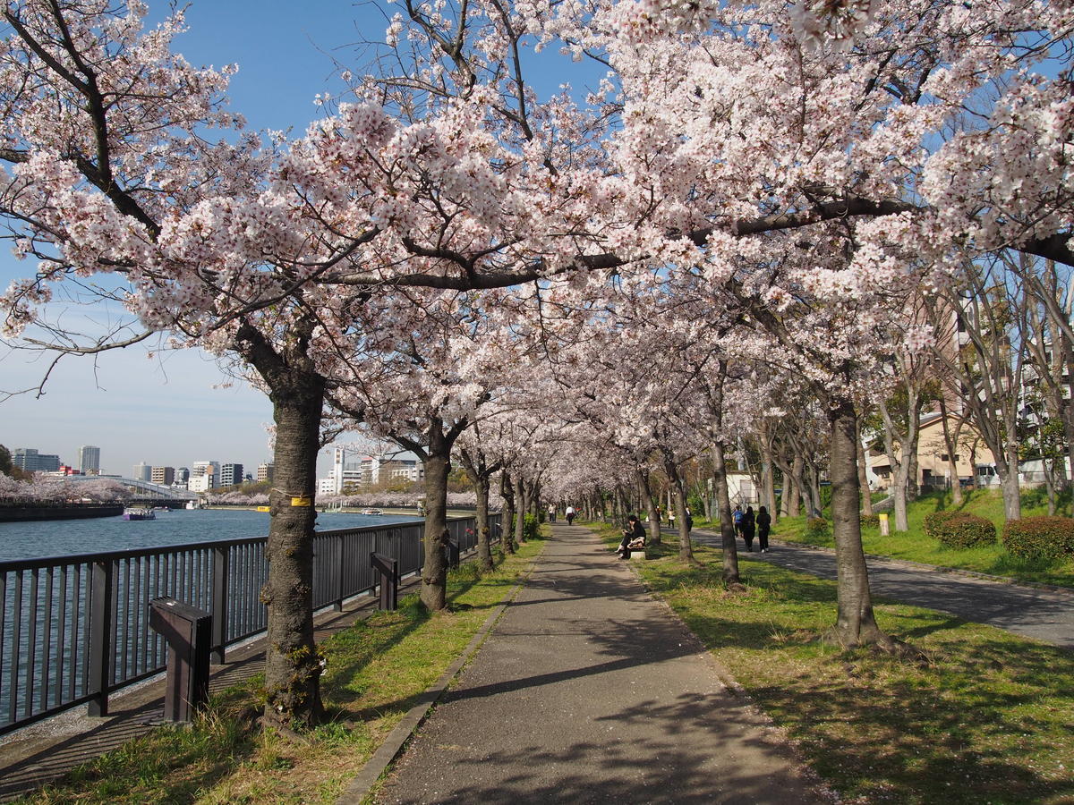 f:id:tra_live:20220417182008j:plain