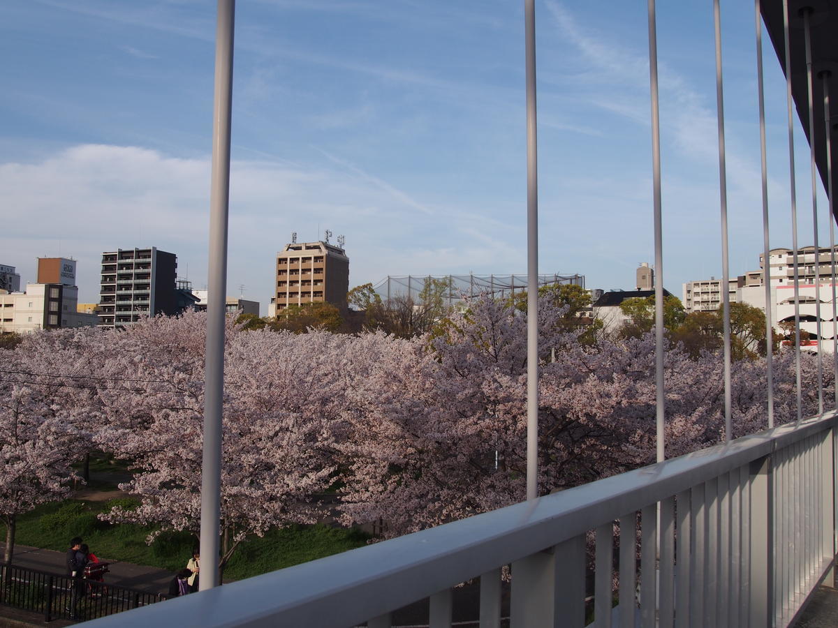 f:id:tra_live:20220417182745j:plain