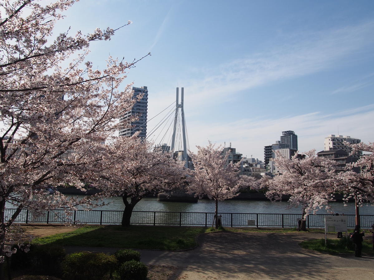 f:id:tra_live:20220417182837j:plain