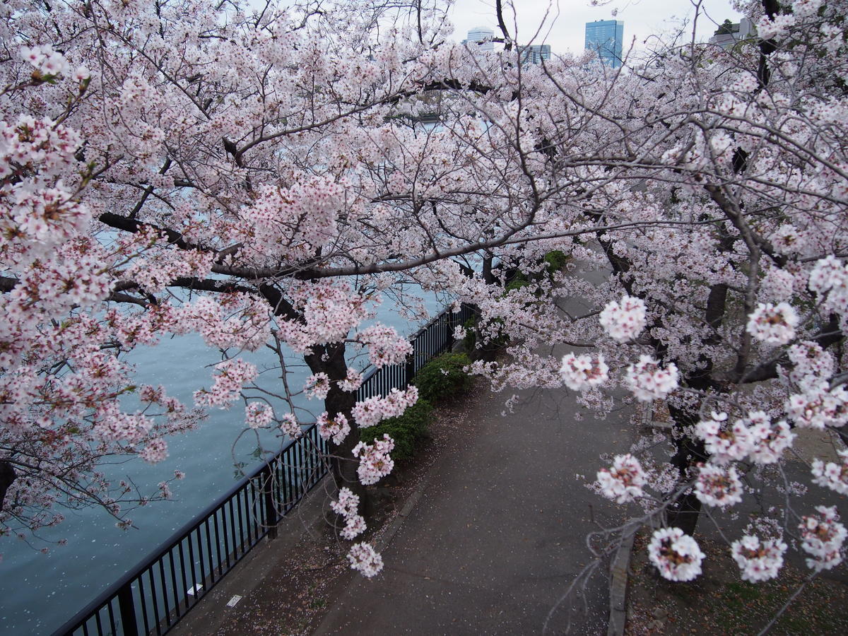 f:id:tra_live:20220417183353j:plain