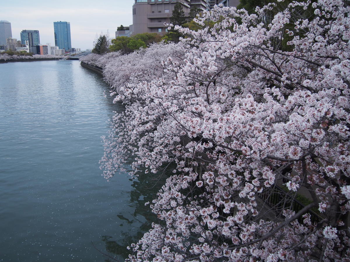 f:id:tra_live:20220417183438j:plain