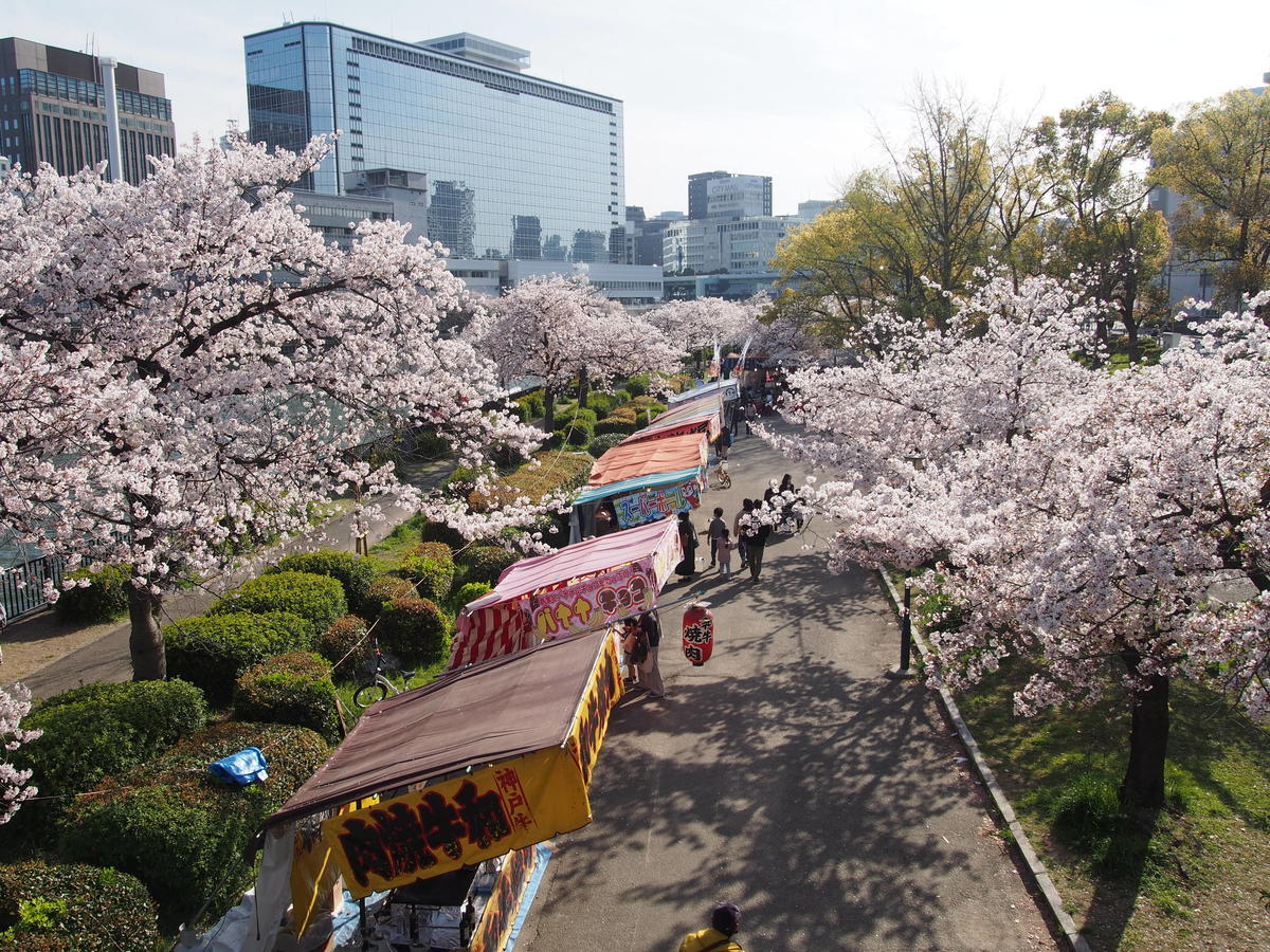 f:id:tra_live:20220417183639j:plain