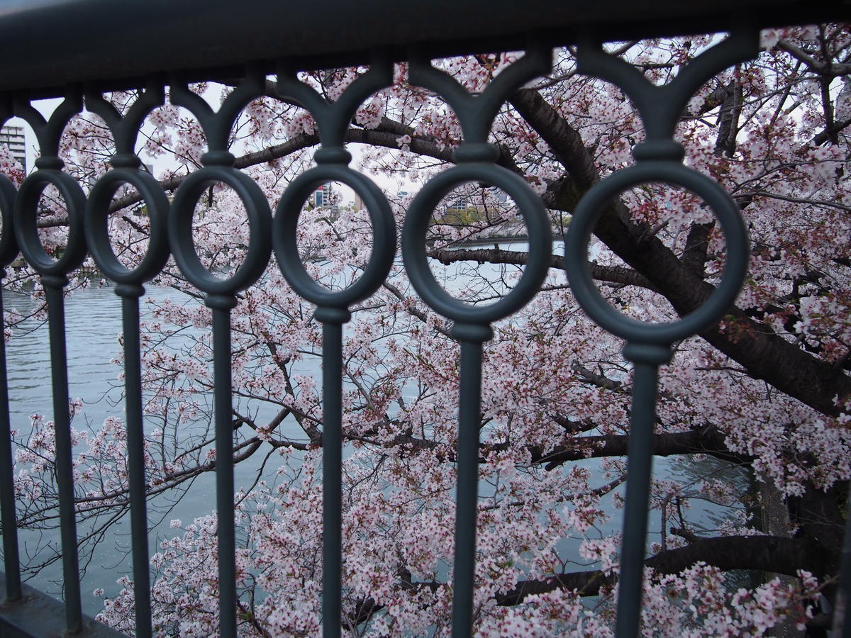 f:id:tra_live:20220417183911j:plain