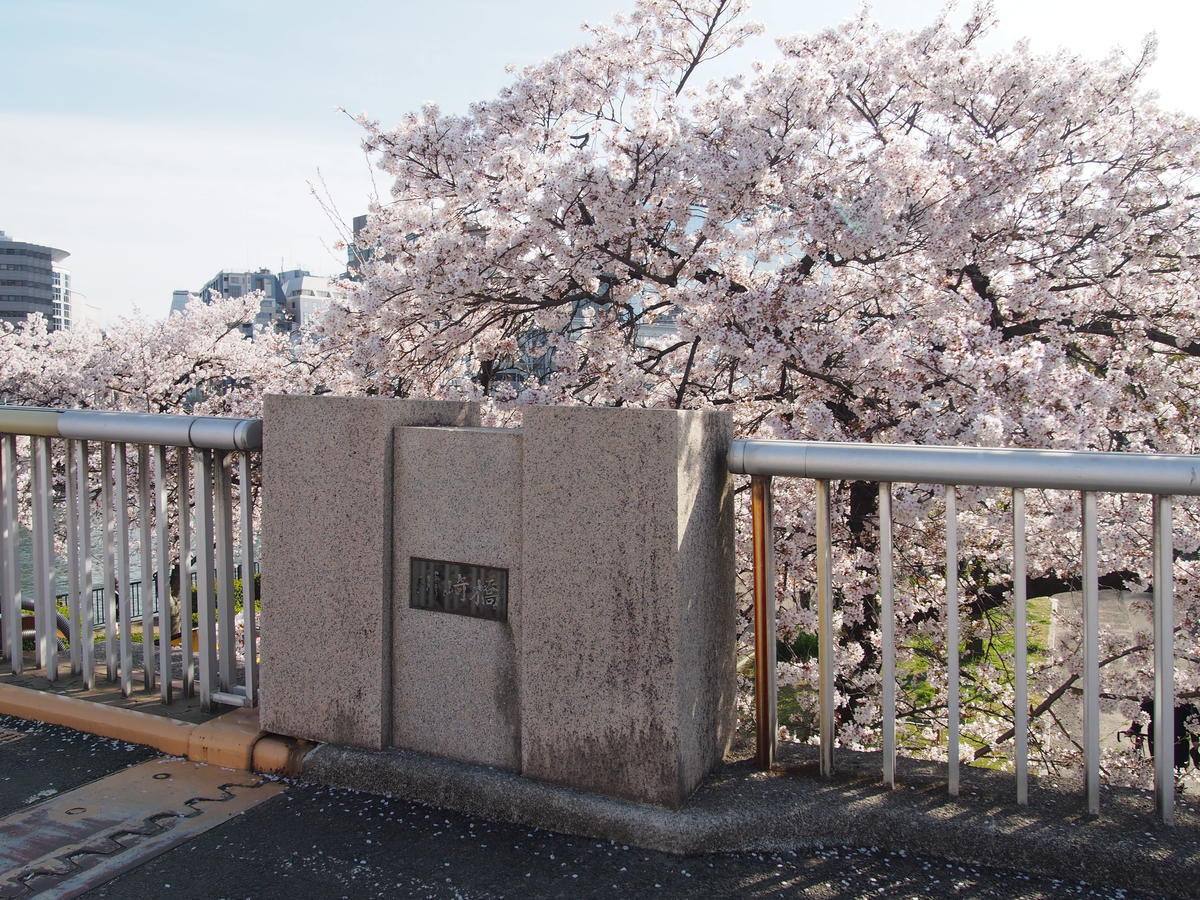 f:id:tra_live:20220417184038j:plain