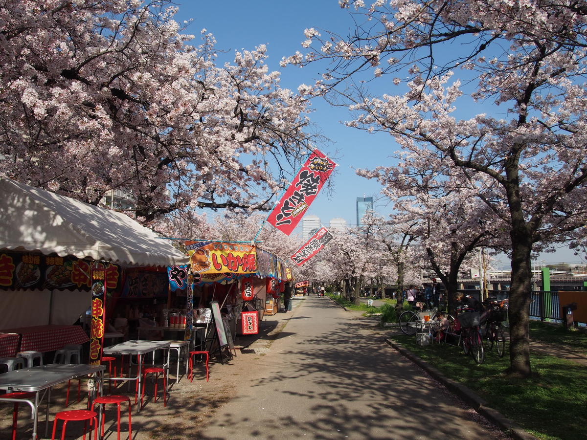 f:id:tra_live:20220417184107j:plain