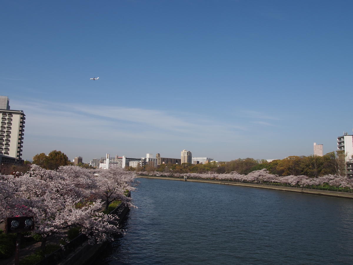 f:id:tra_live:20220417184354j:plain