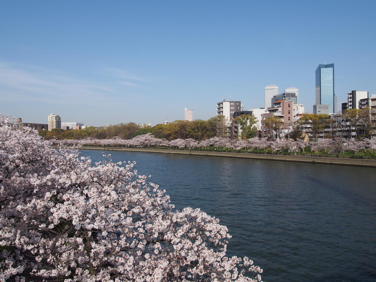 f:id:tra_live:20220417184414j:plain