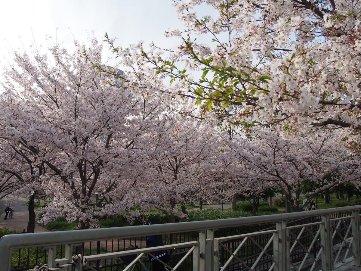 f:id:tra_live:20220417184606j:plain