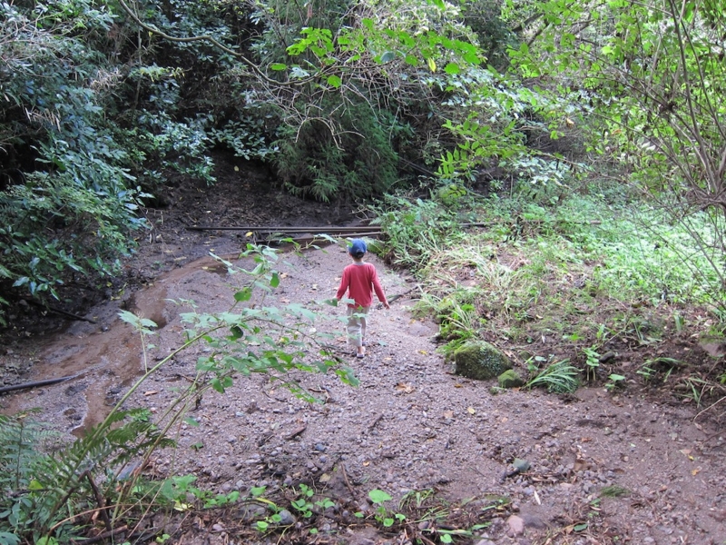f:id:track13:20111006133153j:image