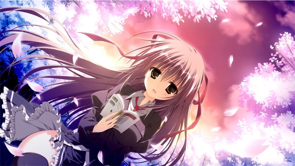 f:id:trad0605:20180510195640j:image