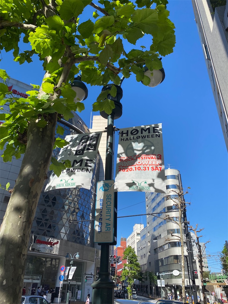 f:id:tradinghouse:20201026080829j:image