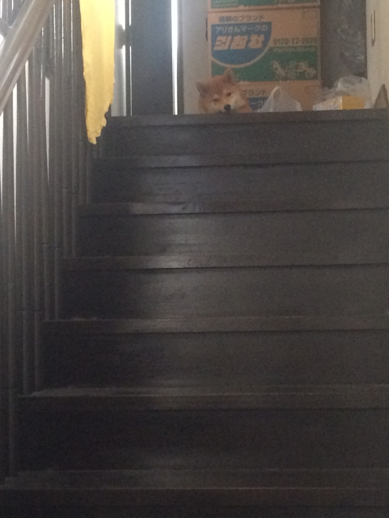 f:id:traffic_jam:20170624235612j:plain f:id:traffic_jam:20170624235612j:plain