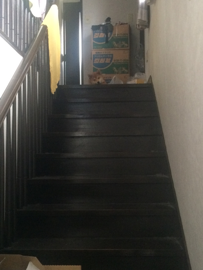 f:id:traffic_jam:20170624235637j:plain f:id:traffic_jam:20170624235637j:plain