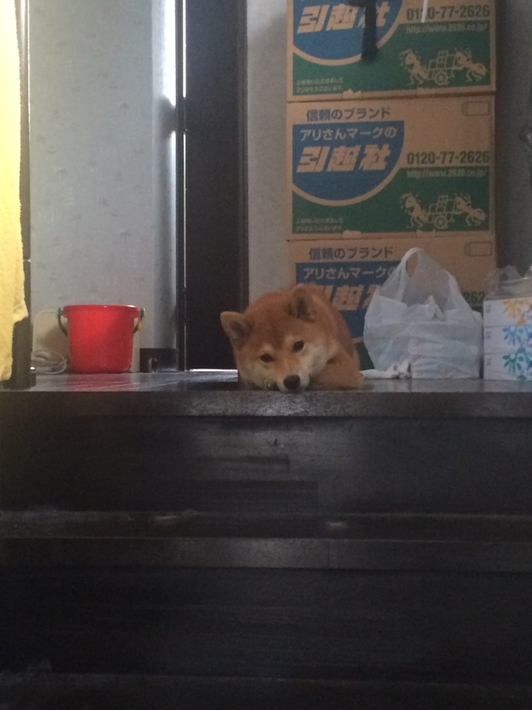 f:id:traffic_jam:20170624235658j:plain f:id:traffic_jam:20170624235658j:plain