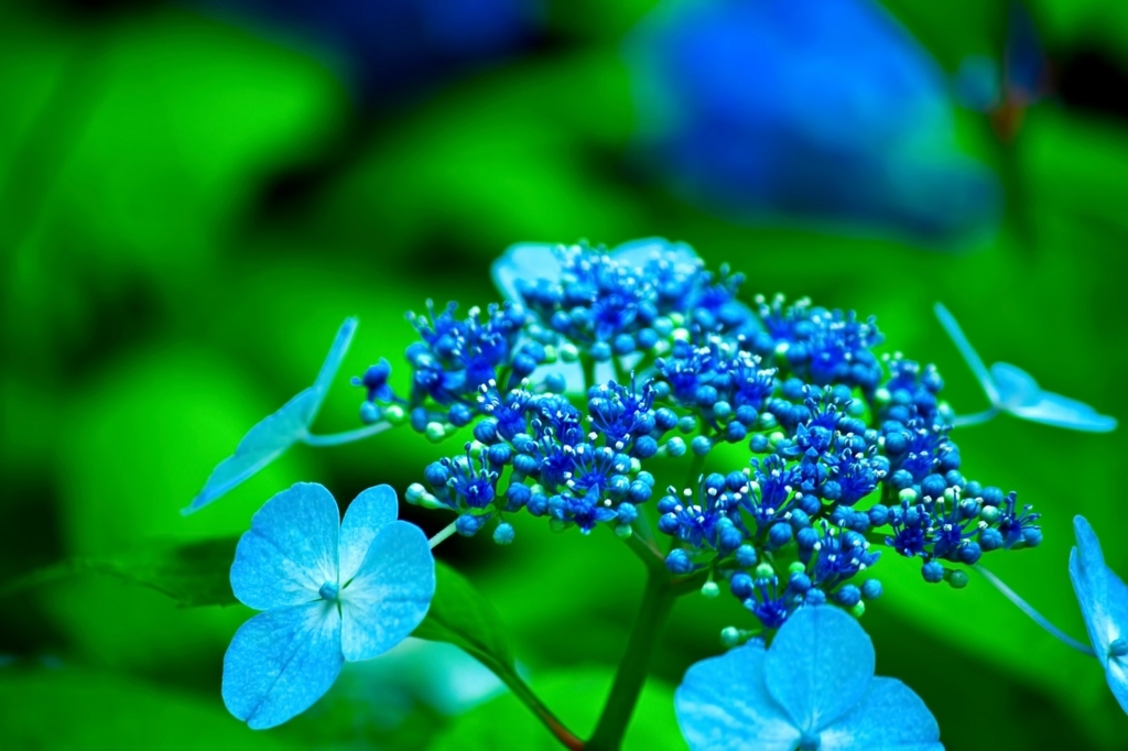 f:id:traffic_jam:20170627185951j:plain